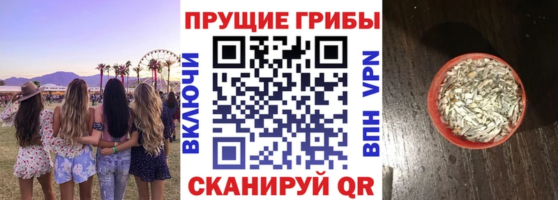 Псилоцибиновые грибы Magic Shrooms  blacksprut маркетплейс  Сарапул 